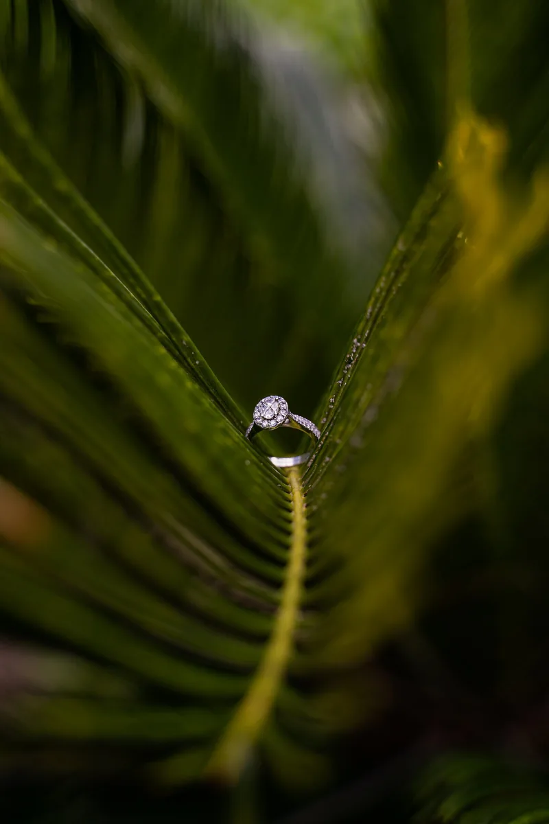 Diamond wedding ring resting on a fern leaf